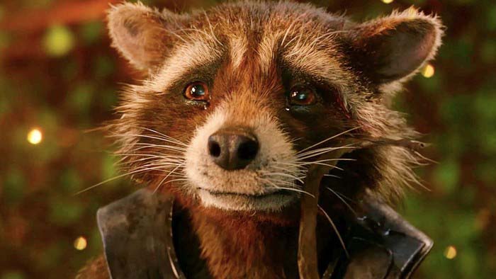 Rocket Raccoon